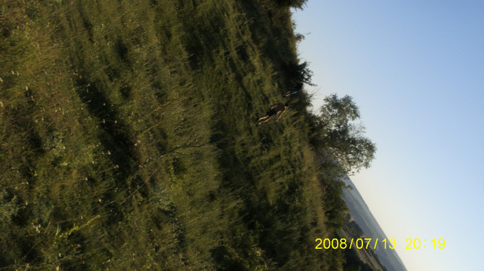 S73F6104 - La Napadova