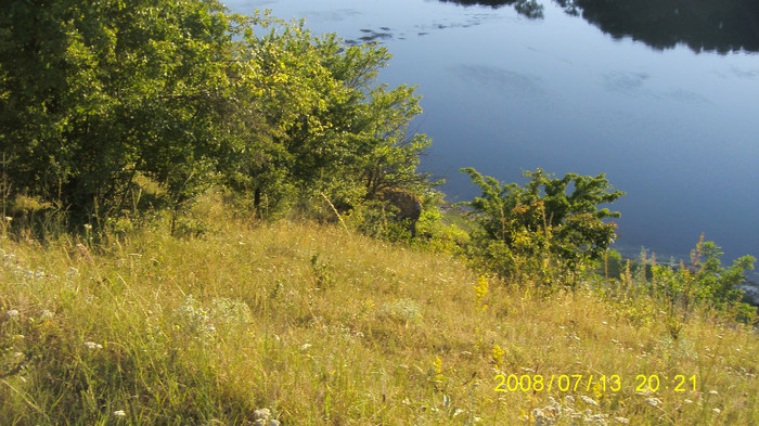 S73F6112 - La Napadova