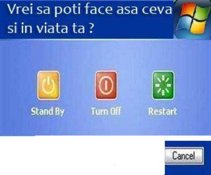 406828_233782423364238_103737976368684_506919_332139100_n - trandafiri NOU