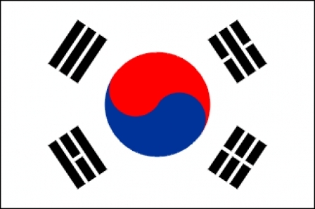 steaguri-coreea-de-sud_b2e16064cb2829 - 2ne1 korea 1