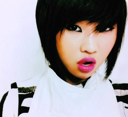 gggg_12042011133711 - 2ne1 korea 1
