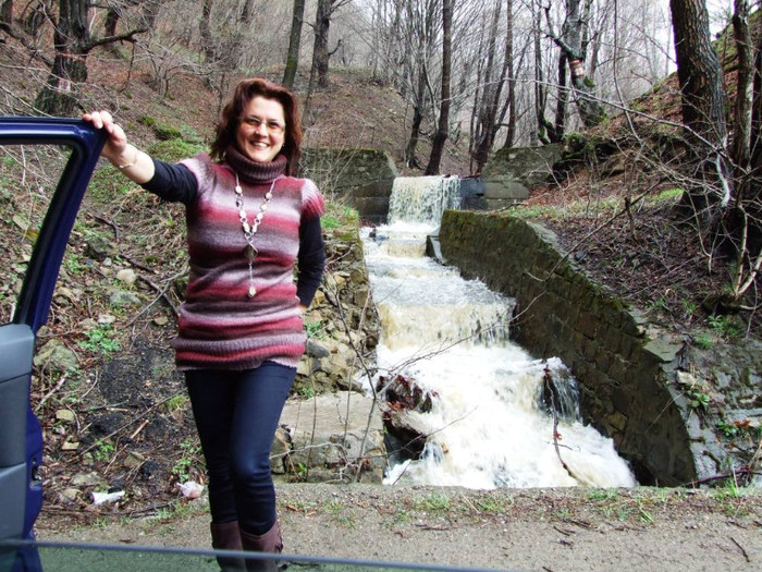 LEPSA FLORII 2011 009