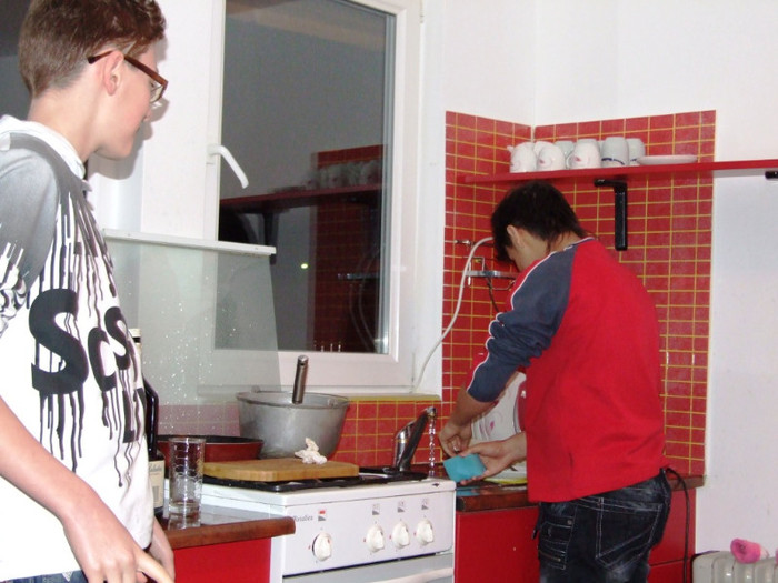 LEPSA FLORII 2011 044