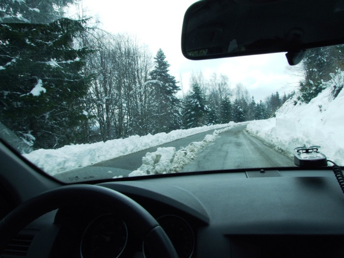 LEPSA FLORII 2011 067