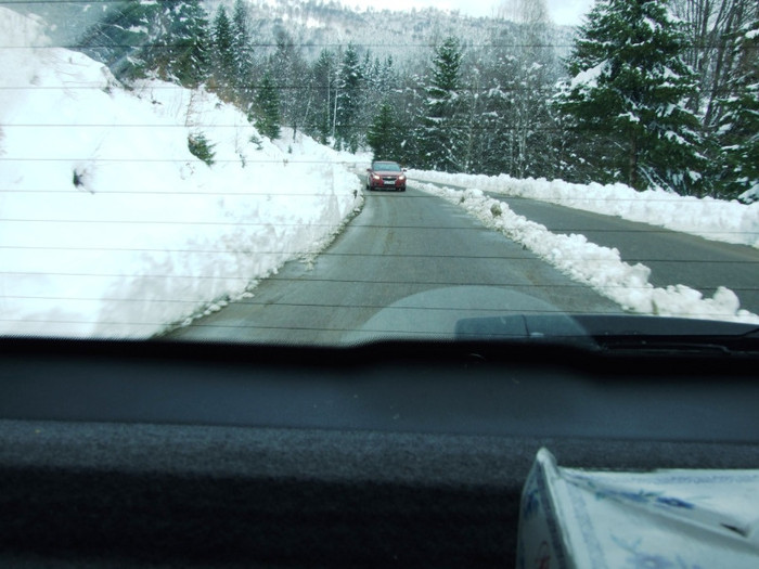 LEPSA FLORII 2011 068