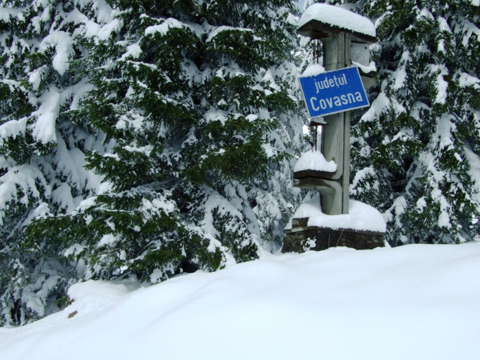 LEPSA FLORII 2011 069