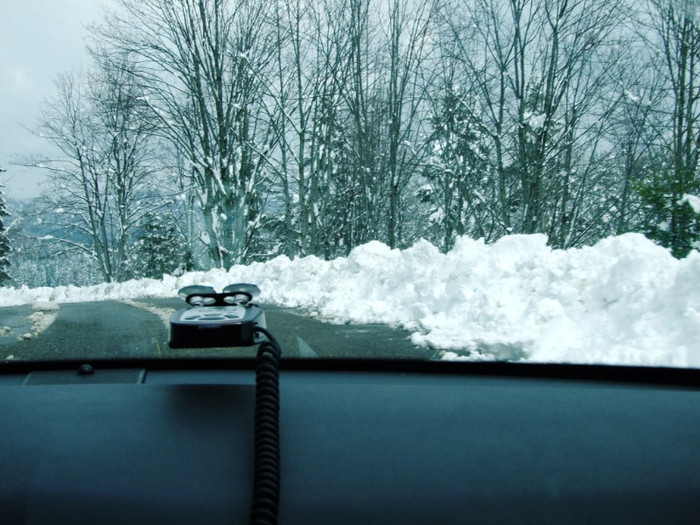 LEPSA FLORII 2011 073