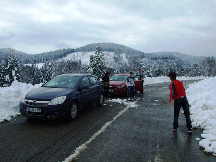 LEPSA FLORII 2011 077