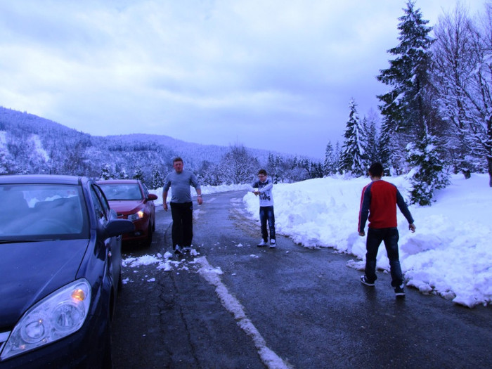 LEPSA FLORII 2011 079