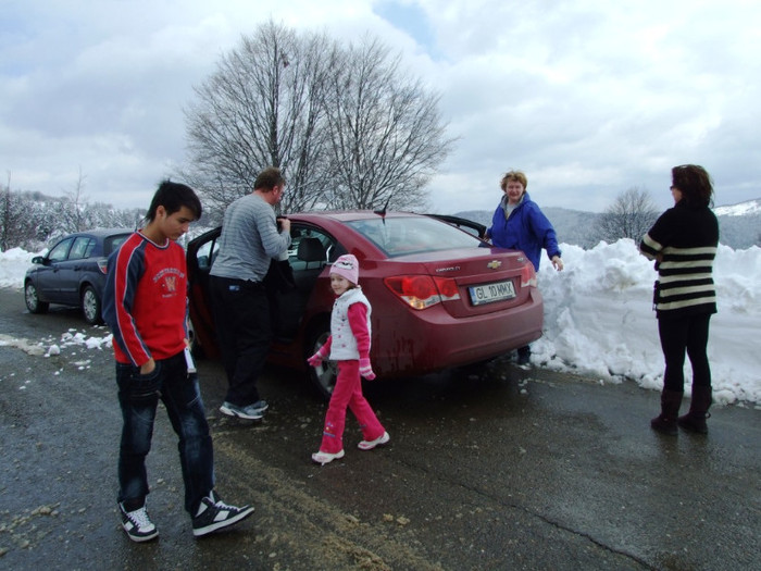 LEPSA FLORII 2011 081