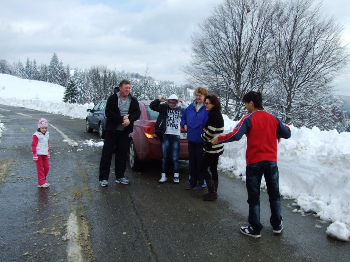 LEPSA FLORII 2011 083 - 2011 04 GREEN EDEN LEPSA