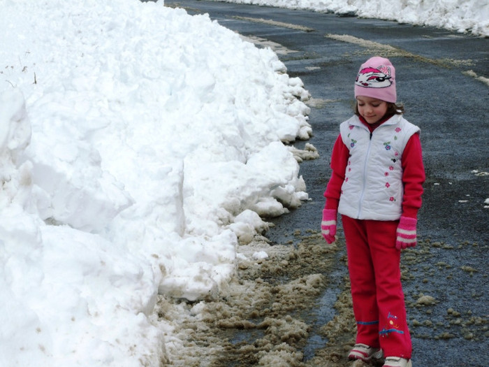 LEPSA FLORII 2011 084 - 2011 04 GREEN EDEN LEPSA