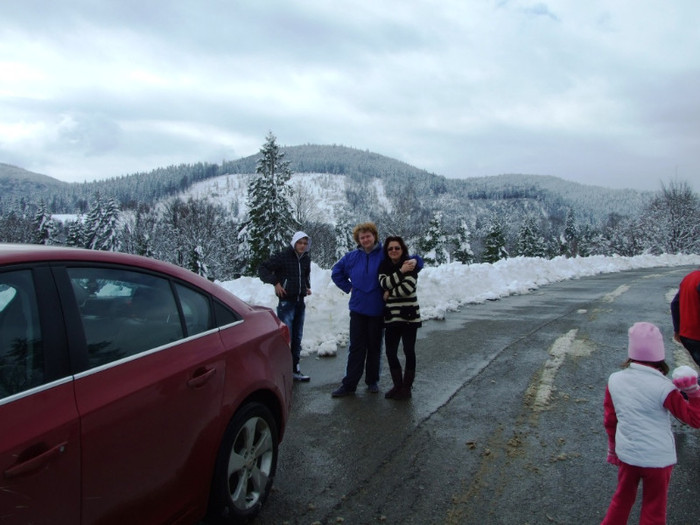 LEPSA FLORII 2011 087