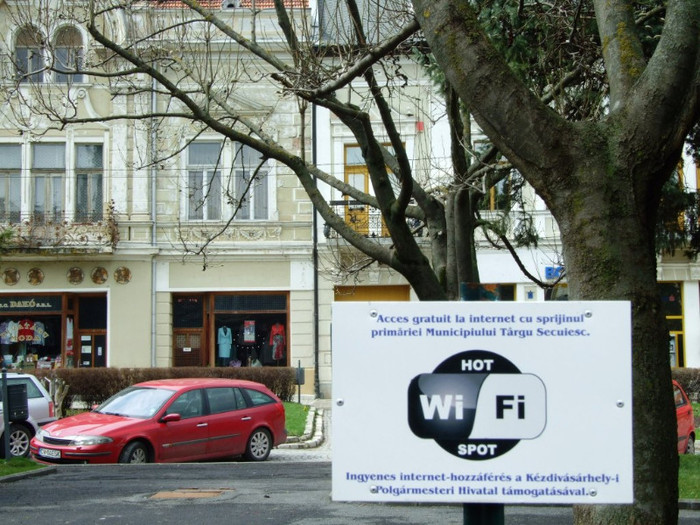 LEPSA FLORII 2011 095