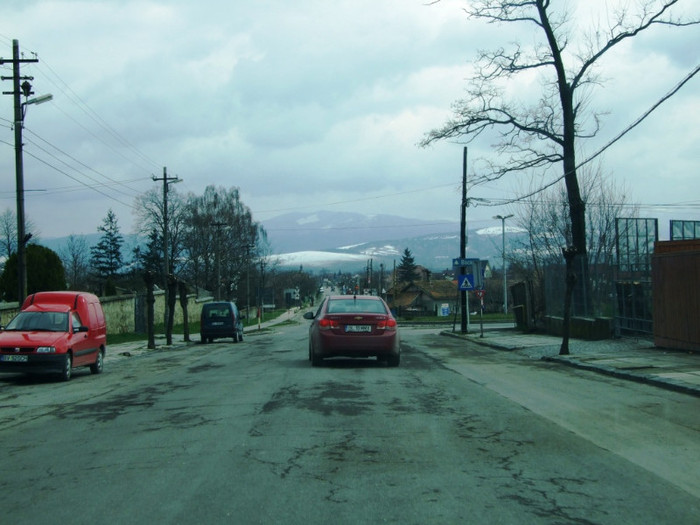 LEPSA FLORII 2011 096