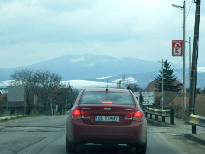 LEPSA FLORII 2011 098