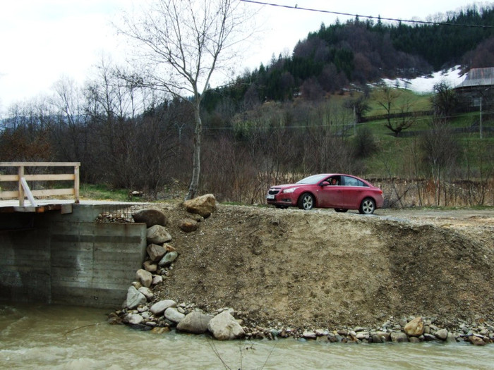 LEPSA FLORII 2011 100