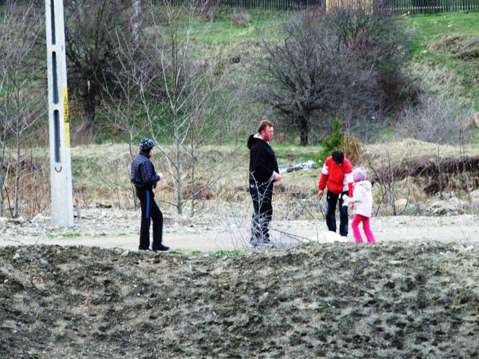 LEPSA FLORII 2011 115