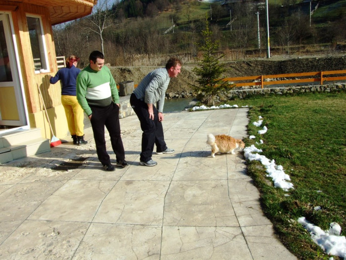 LEPSA FLORII 2011 143