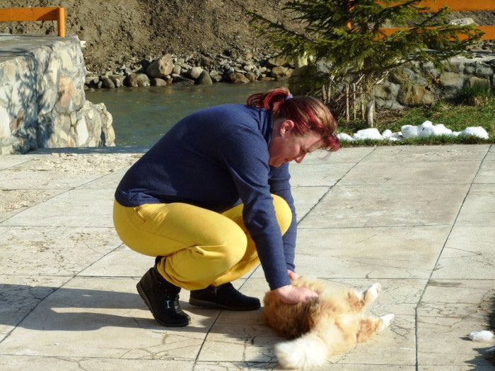 LEPSA FLORII 2011 144