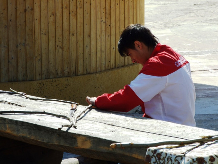 LEPSA FLORII 2011 163