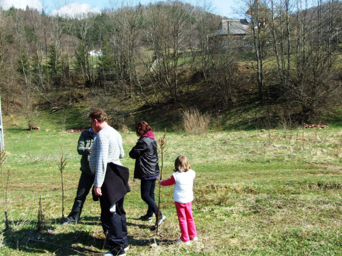 LEPSA FLORII 2011 171