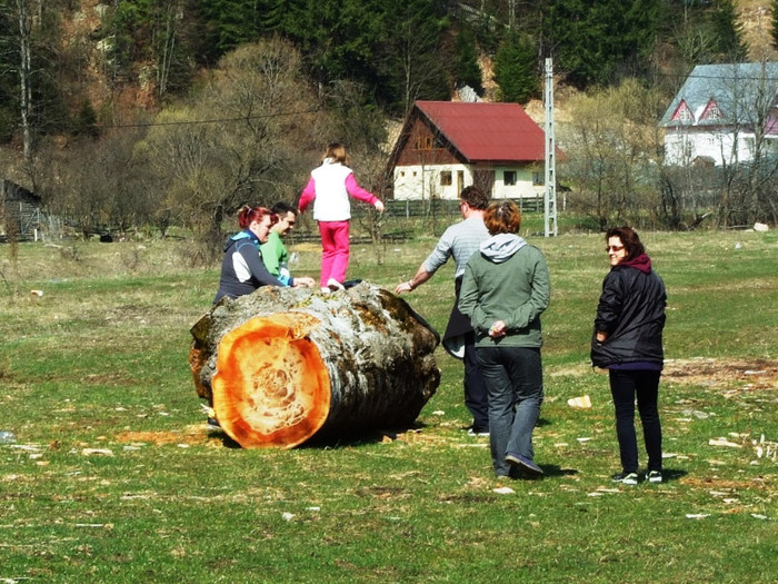 LEPSA FLORII 2011 175