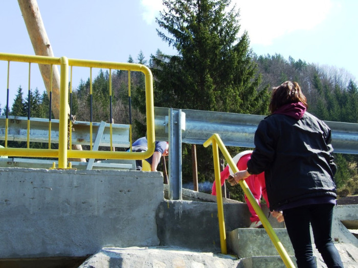 LEPSA FLORII 2011 180