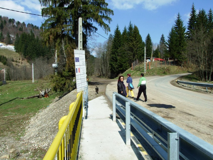 LEPSA FLORII 2011 184