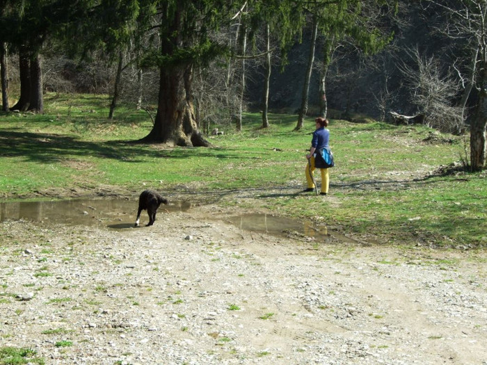 LEPSA FLORII 2011 186