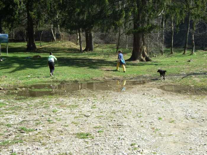 LEPSA FLORII 2011 187