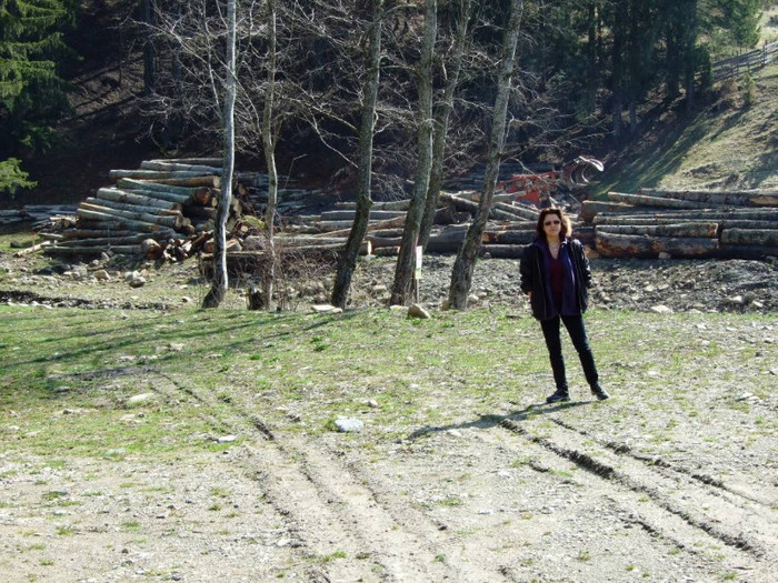 LEPSA FLORII 2011 188