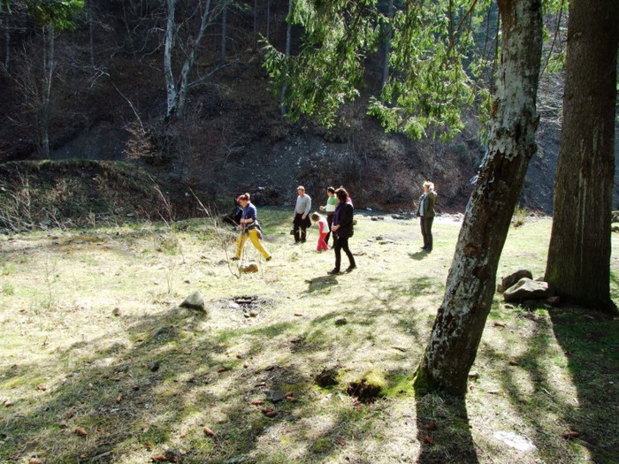 LEPSA FLORII 2011 196