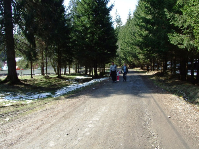 LEPSA FLORII 2011 233