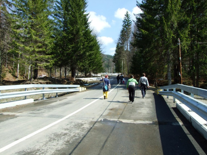 LEPSA FLORII 2011 234