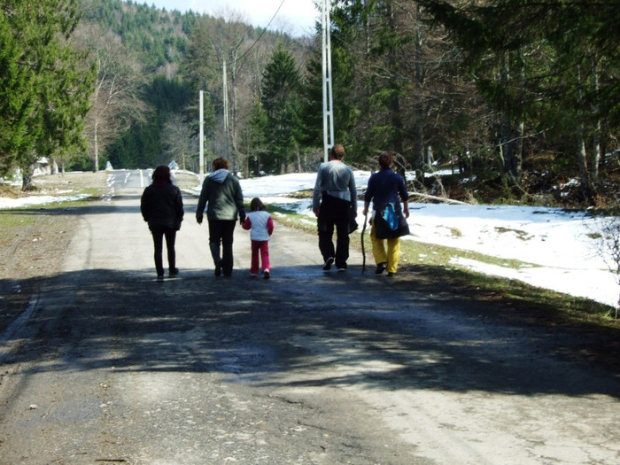 LEPSA FLORII 2011 235