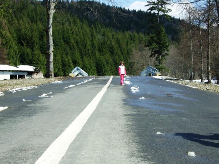 LEPSA FLORII 2011 236