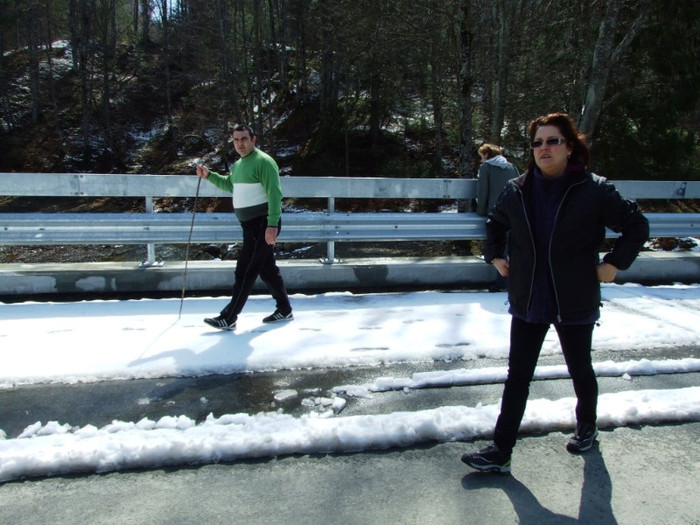 LEPSA FLORII 2011 237