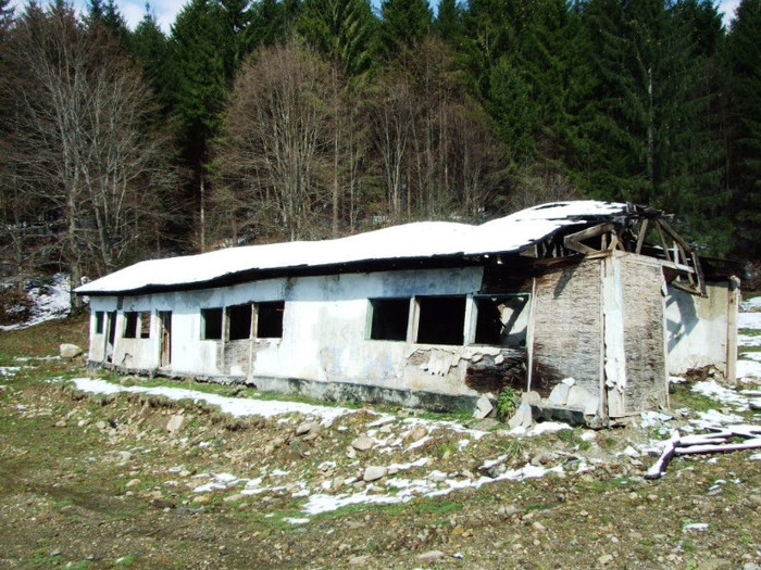 LEPSA FLORII 2011 238