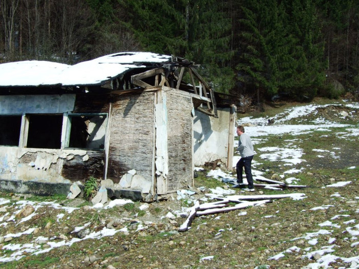 LEPSA FLORII 2011 239