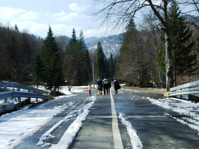 LEPSA FLORII 2011 240