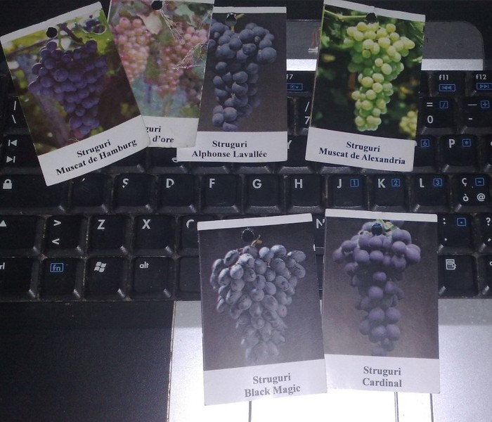 black magic si cardinal - Black Magic