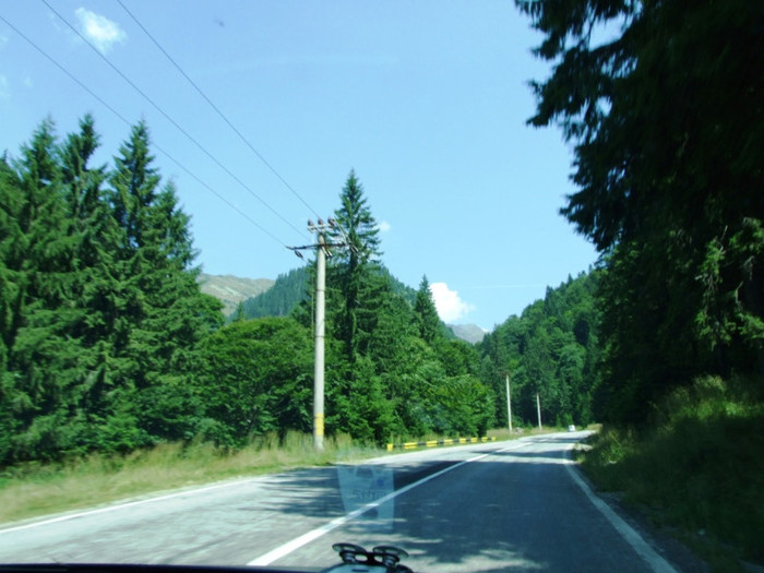 DSCF4959