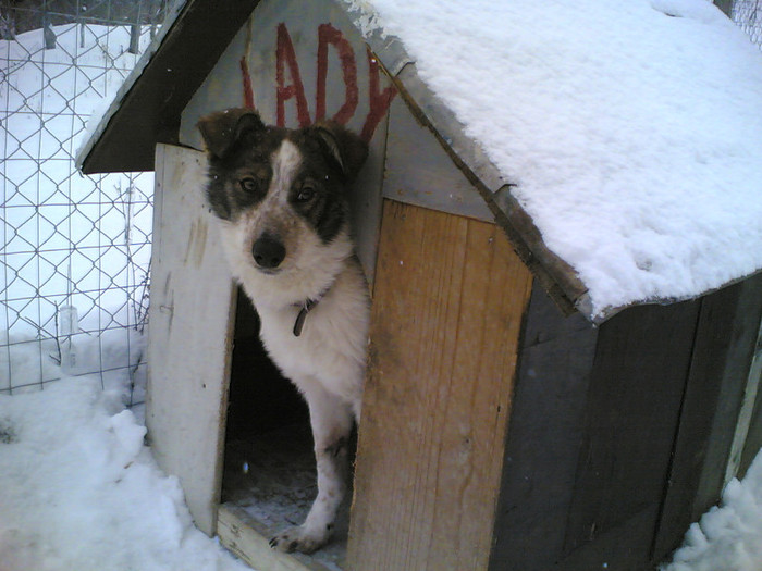 lady frumoasa; ce draguta esti!!!!!!!!!!!!!!!!!!!!!!!!!!!!!!!!!!!!!!!!
