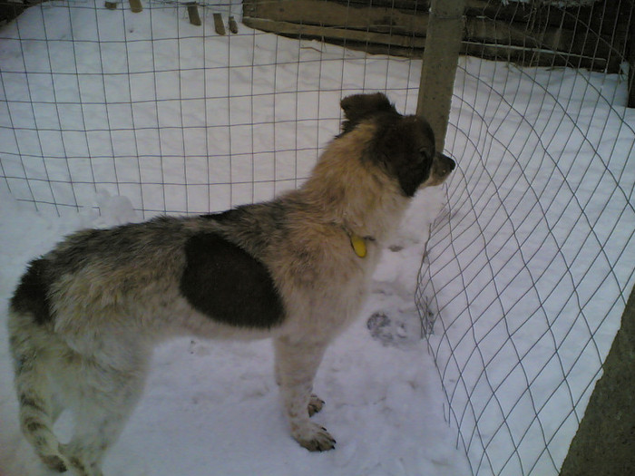 lady!; ce mare esti in poza asta!
