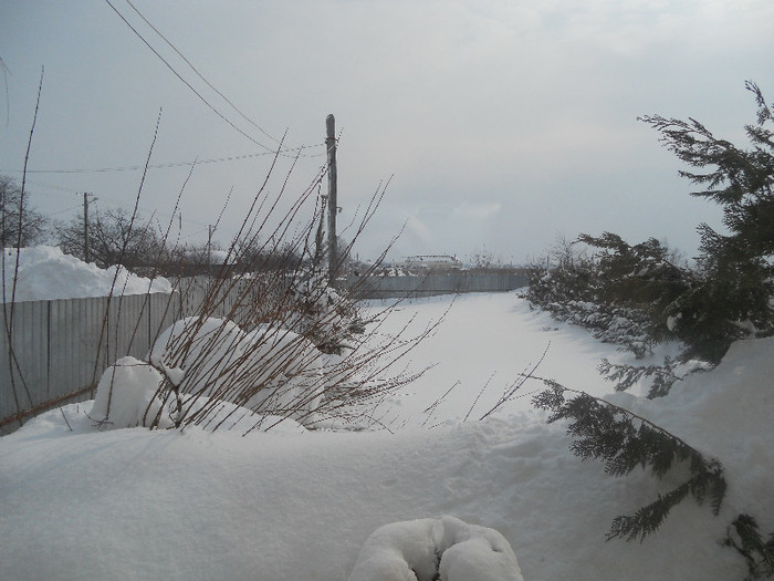 Picture 001 - iarna 2012