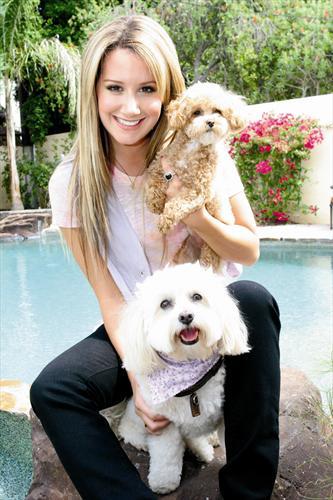 Ashley Tisdale - Proba 5 STOP VOT