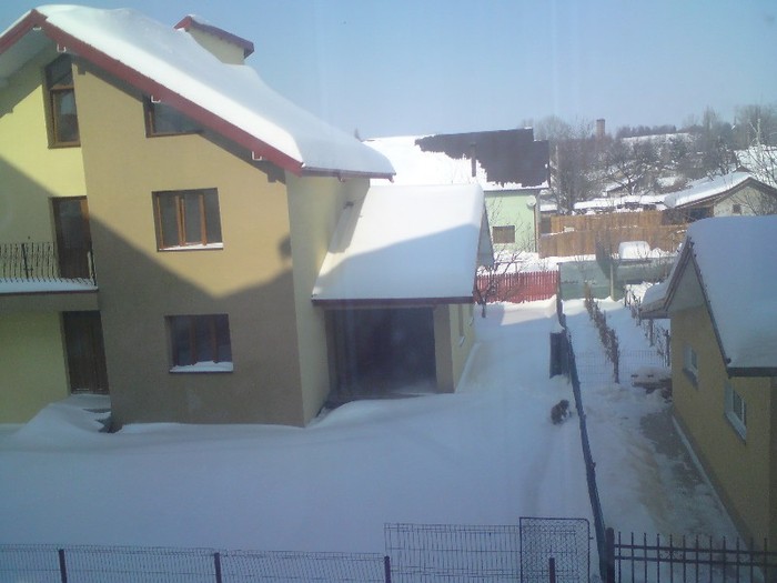 DSC01217 - Iarna