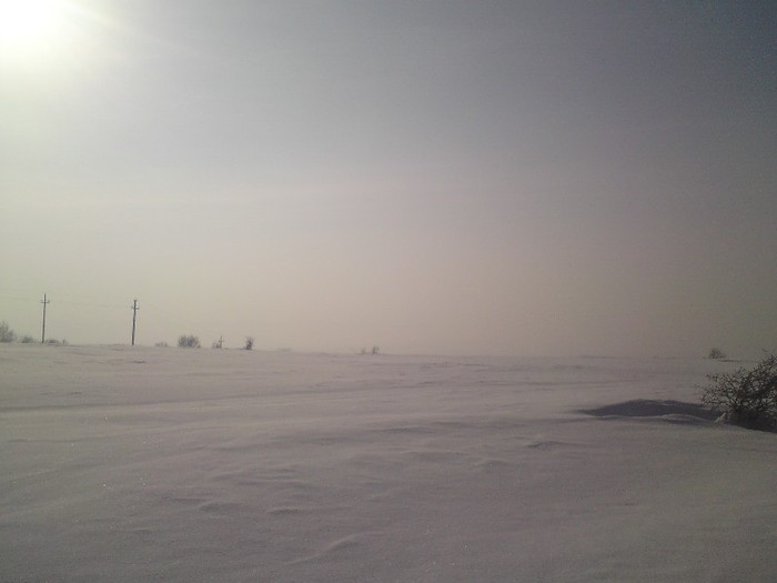 DSC01226 - Iarna
