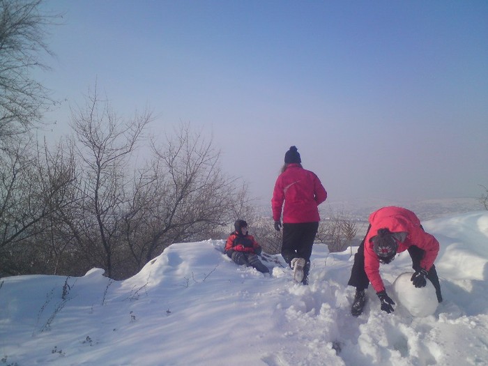 DSC01232 - Iarna